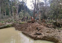 Atewa Range Forest