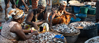 A cross-section of Ghanaian women in fisheries