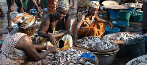 Ghana  Women In Fisheries 