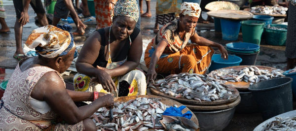 A cross-section of Ghanaian women in fisheries