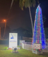 The tallest recycled plastic bottle Christmas tree in Africa