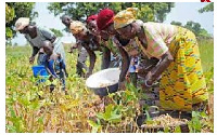 The women were trained on how to make shea butter pomade, powder and parazone