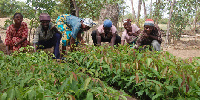 File photo of farmers in Ghana