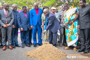 Dr Mahamudu Bawumia