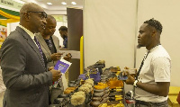 UNDP's MSMEs Nimdie Series