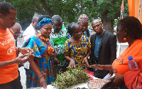 An exhibitor explaining how to grow OSFP