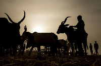 The four herdsmen allegedly raped the girl and shot her father