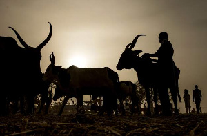 The four herdsmen allegedly raped the girl and shot her father