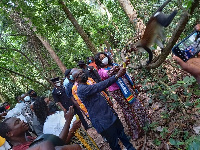 Barbara Oteng Gyasi  touring the  Tafi Atome Monkey Sanctuary