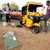 The pregnant goat on the floor while onlookers observe the accident scene