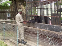 File photo: Kumasi zoo