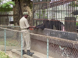 Kumasi Zoo