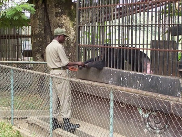 Kumasi Zoo