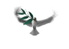 Peace Dove Olive Branch