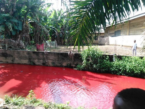 Police say the change in colour of the stream was caused by tie and dye powder