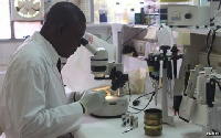 A lab scientist at work (File photo)