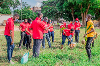 Employees of Absa Bank planting some trees