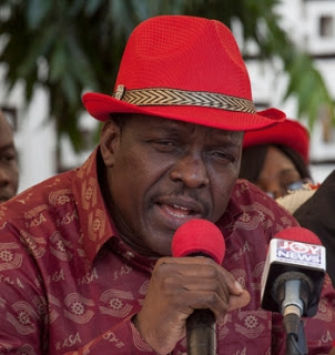 Alban Bagbin, Majority Leader