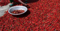 Chilli peppers are subject to the export ban, which comes into effect next week