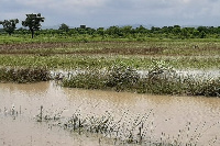 The rains washed off portions of the main road and bridges, affecting economic activities.