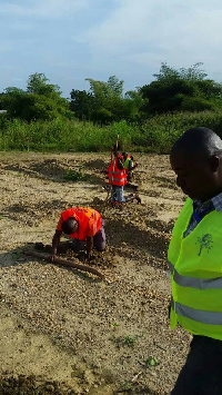 File photo; Planting of the seedlings at Peminase