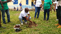 One of the team members planting a seedling at Addo Nkwanta