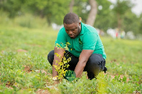 Nana Yaw Osei-Darkwa is the convener of The Green Republic Project (TGRP),