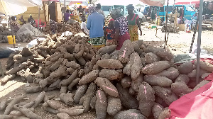 Akateng Yam Market 11.png