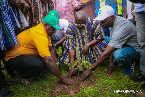 Vice President, Dr Mahamudu Bawumia joined millions of Ghanaians who planted trees on Friday