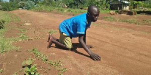 Gilbert Otyeng crawling to school