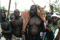 Aboakyer festival is celebrated by the people of the Efutu Traditional Area