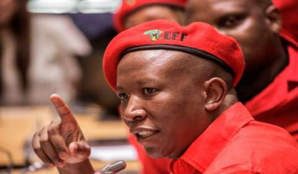 Julius Malema is one of South Africa's most controversial politicians