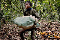 Child labour in cocoa-growing communities