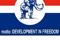 NPP flag