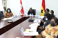 Ghana's delegation were present at the virtual meeting