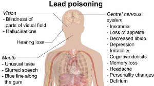  Lead Poisoning New