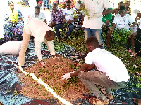 Some farmers undergoing practical training