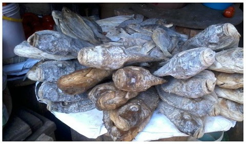 Some traders use formalin to preserve koobi