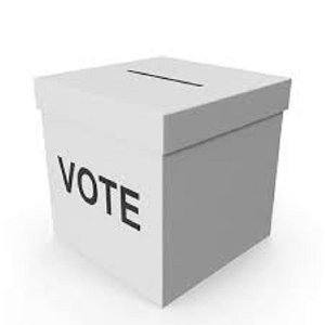 Vote Ballot