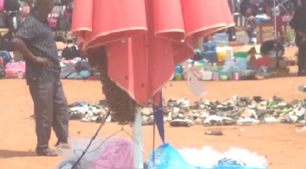 A screengrab of bees camped on the trader's umbrella