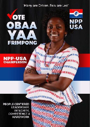 Obaa Yaa Amponsah Frimpong, Aspiring NPP-USA Chairman