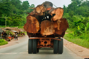 Occupants of the truck allegedly mentioned the Executive Director