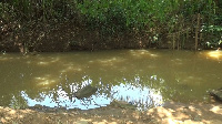 Abenabo residents in Suhum have resorted to drinking water from the dirty stream