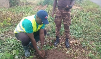 Municipal Chief Executive for Kpando, Joe Badasu, during the tree planting exercise