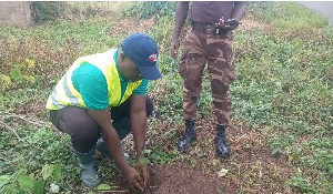 Municipal Chief Executive for Kpando, Joe Badasu, during the tree planting exercise