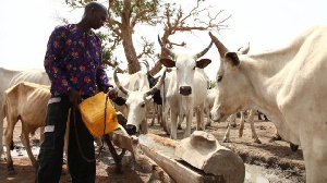 Fulani Herdsmen