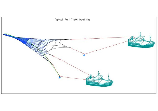 Pair-trawling