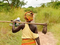 Women are very active players in rural farming