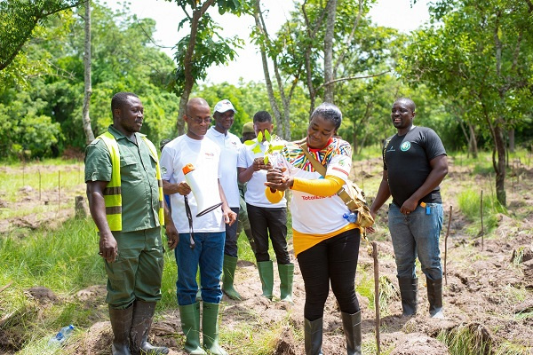 Bright Dokosi with other executives planting a tree