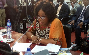 Ayorkor Botchwey Vetting